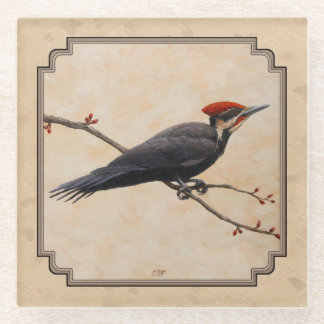 Pileated Woodpecker Tan Glass Coaster