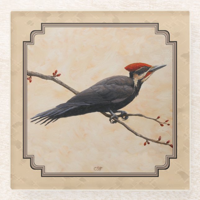 Pileated Woodpecker Tan Glass Coaster (Front)