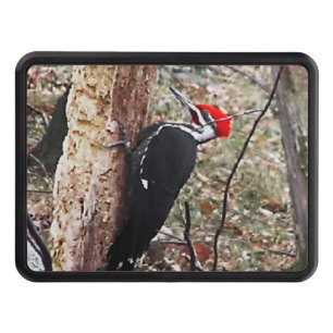 Pileated Woodpecker Tow Hitch Cover