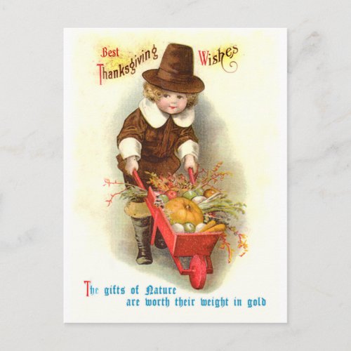 Pilgrim Boy Vintage Thanksgiving Illustration Holiday Postcard