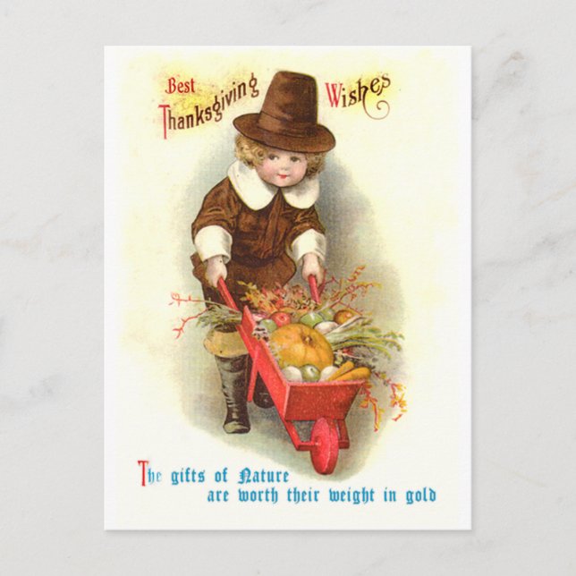 Pilgrim Boy Vintage Thanksgiving Illustration Holiday Postcard (Front)