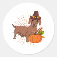 Pilgrim dachshund pumpkin leaves Thanksgiving