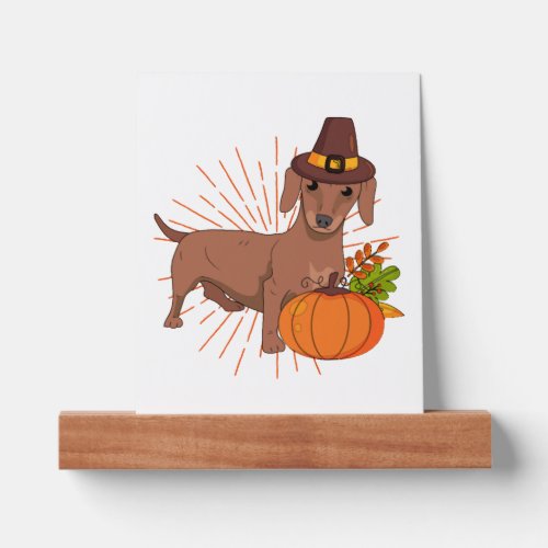 Pilgrim dachshund pumpkin leaves Thanksgiving  Picture Ledge