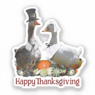 Pilgrim Goose Duck Thanksgiving Sticker