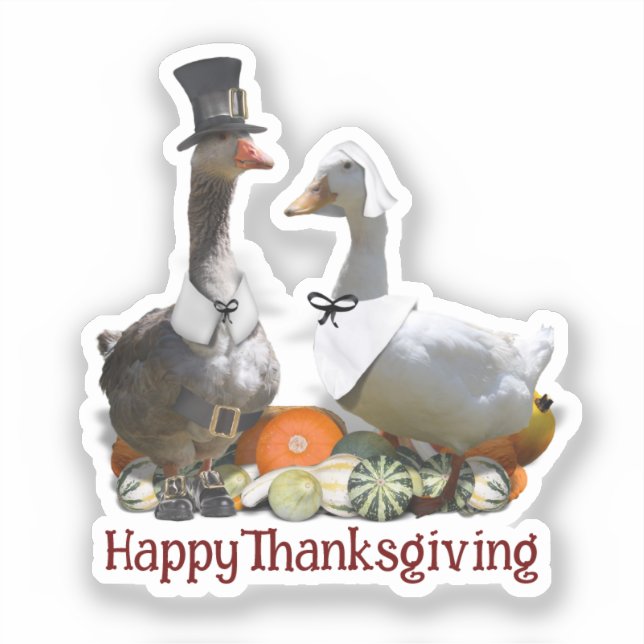 Pilgrim Goose Duck Thanksgiving  Sticker (Front)