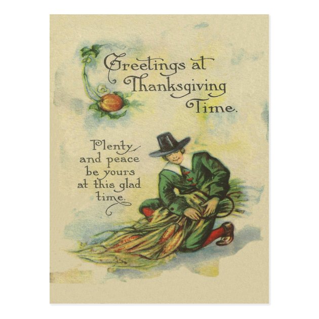 Pilgrim Thanksgiving Greetings Postcard