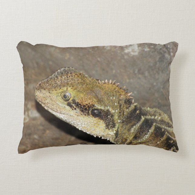 pill accent pillow (Front)