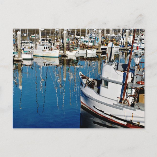 Pillar Point Harbor Postcard (Front)