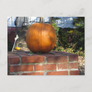 Pillar Pumpkin Postcard