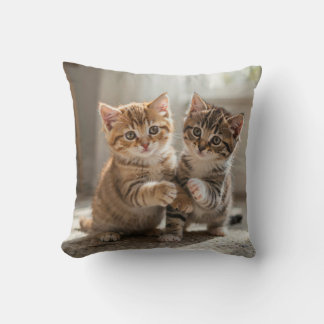 Pilloe Throw Pillow