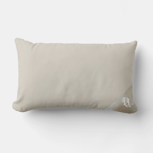 Pillow Abstract Interior Trend Sandy Tornado (Front)
