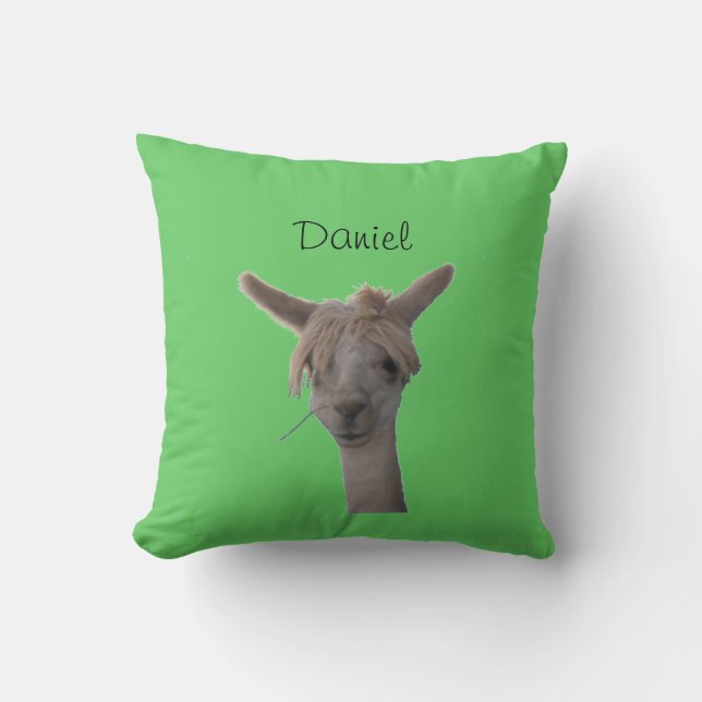 Pillow - Alpaca Portrait (Front)