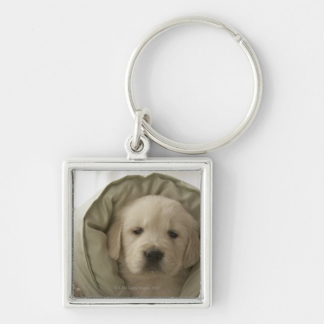 Pillow around dog keychain (Front)