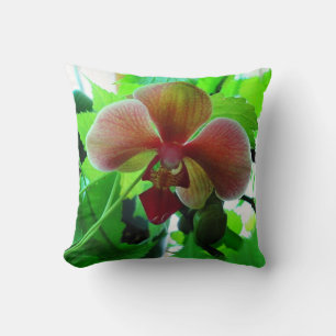 Pillow, Beautiful Phalaenopsis Orchid photograph Throw Pillow