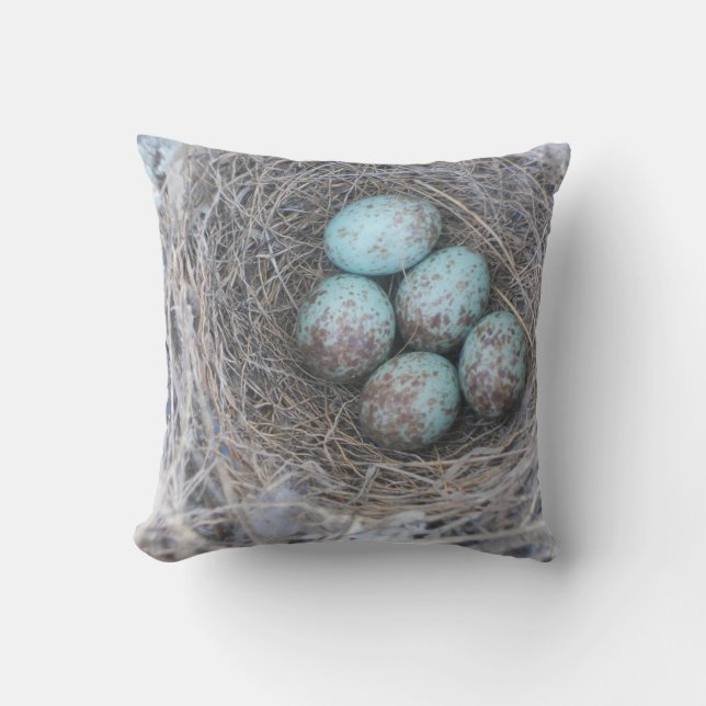 Pillow Bird's Nest Photography Nature Eggs (Front)