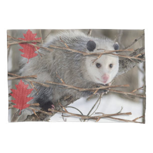 Pillow Case Opossum Nature