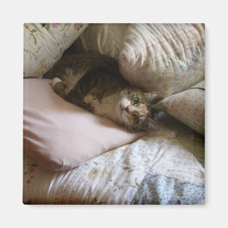 Pillow cat magnet
