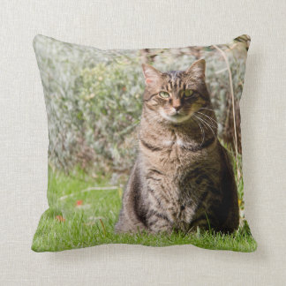 Pillow - Cat - two images - 01