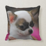 pillow - Customized