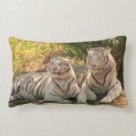 pillow - Customized