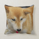 pillow - Customized