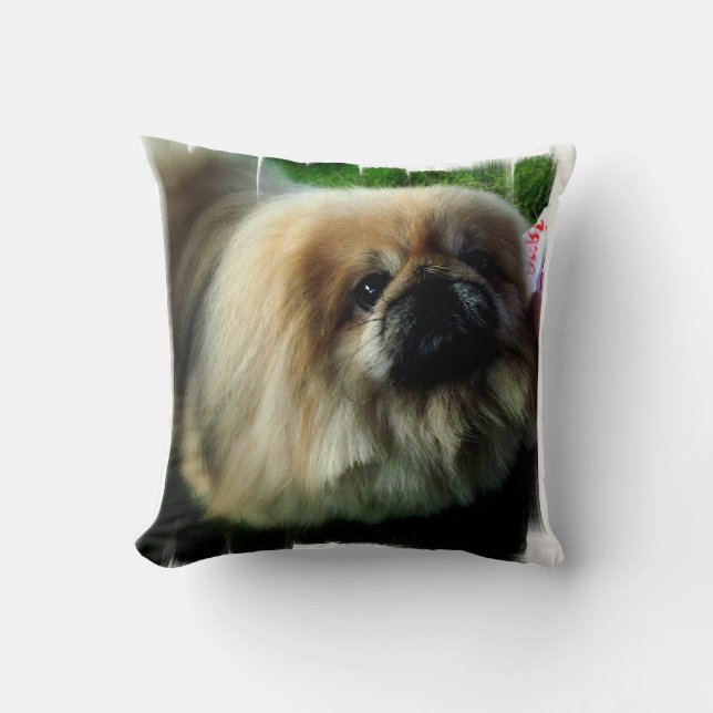 pillow - Customized (Front)