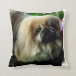 pillow - Customized