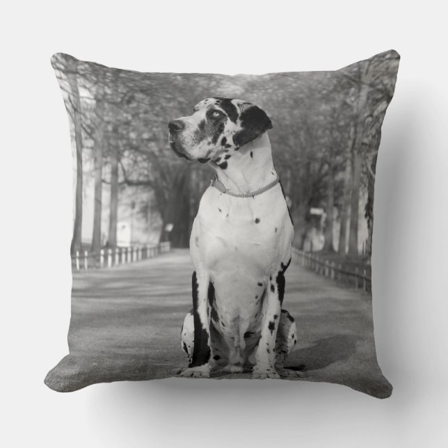 Pillow Great Dane (Front)