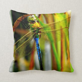 Pillow Green and teal blue dragonfly, green eyes