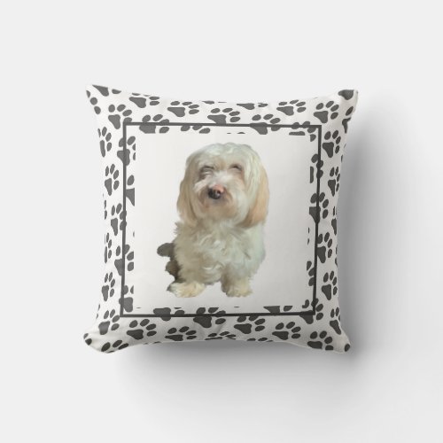 Pillow Havanese Dog