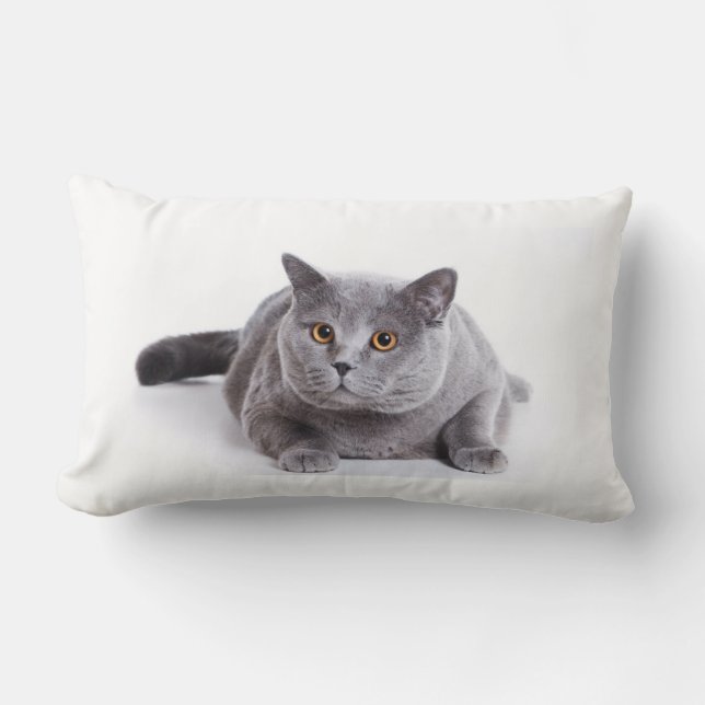Pillow Lumbar - cat (Front)