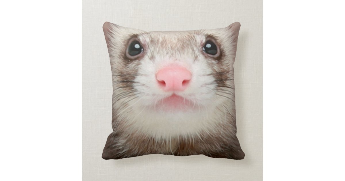 ferret body pillow