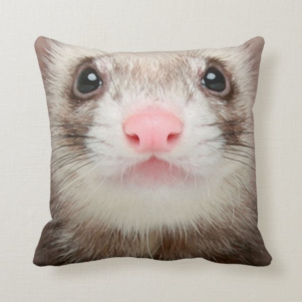 ferret body pillow