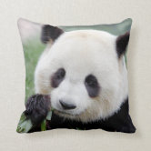 https://rlv.zcache.com/pillow_photo_giant_panda_1-r6267adb42a484afdbf2c21dedfe81163_6s309_8byvr_166.jpg