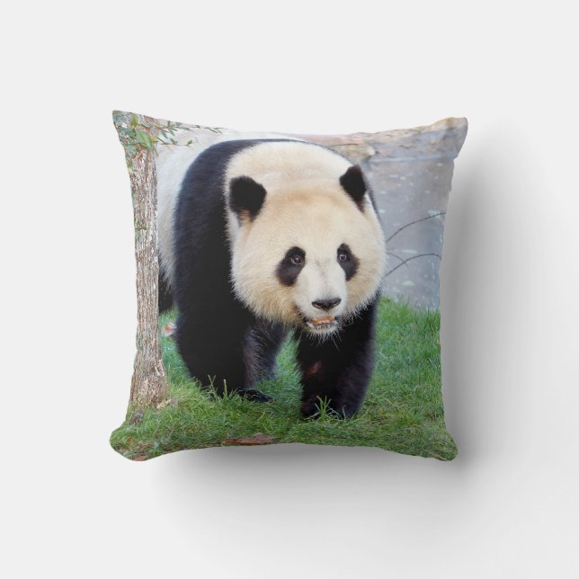 Pillow photo giant panda  5. throw pillow (Front)