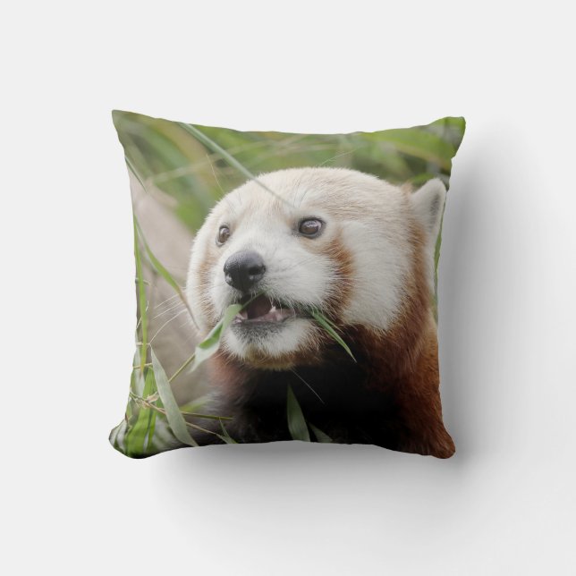 Pillow photo red panda. (Front)