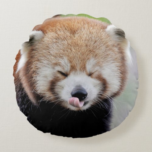 Pillow photo red panda