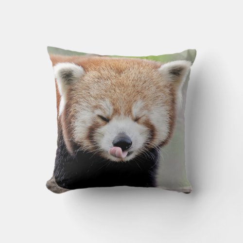 Pillow photo red panda