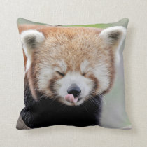 Pillow photo red panda.