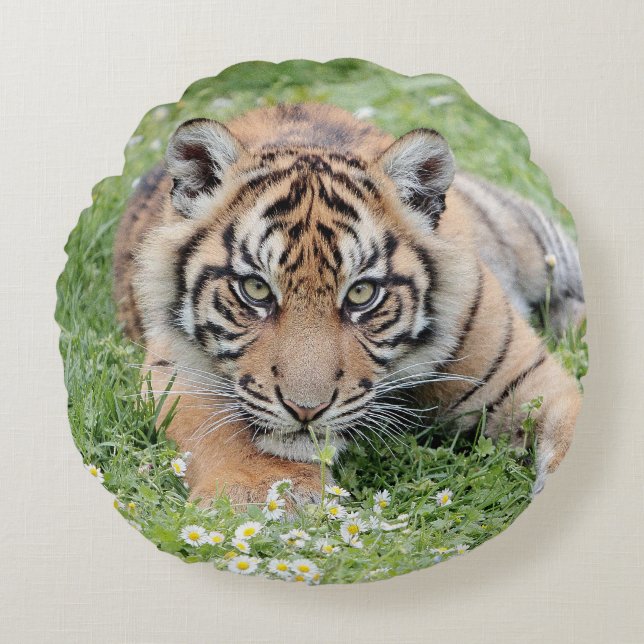 Pillow Photo tiger cat , animals 01 . round pillow (Front)