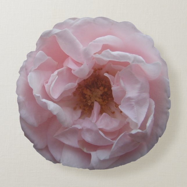Pillow - Round - Blush Pink Rose (Front)