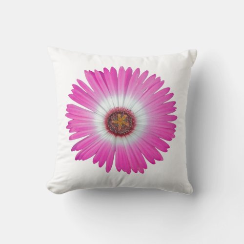 Pillow Shasta Daisy in hot pink