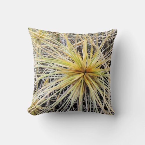 Pillow Shows Spinifex Grass