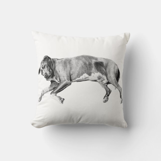 Pillow-Side Dreams for December Throw Pillow (Front)