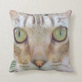 Pillow - Tabby Cat Face