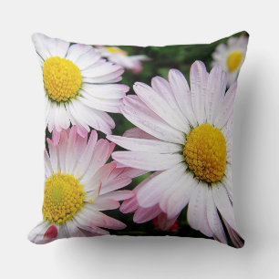 Pillow three cute, pink daisies