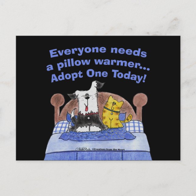 Pillow Warmers Postcard (Front)