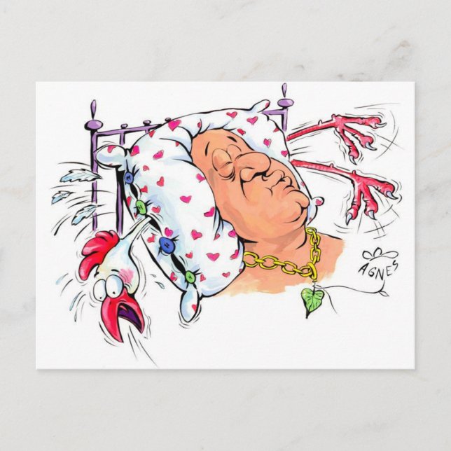 Pillow With Chicken Feathers? Postcard (Front)