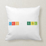 Mrs. Ertel  Pillows