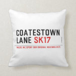 coatestown lane  Pillows